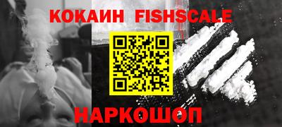 a pvp Новозыбков